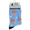 Dog Lover Socks Orange Tabby Cat